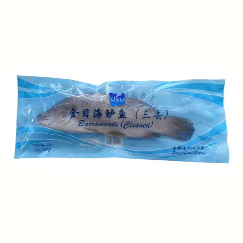 BARRAMUNDI
