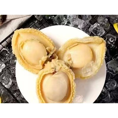 FROZEN BOILED ABALONE MEAT