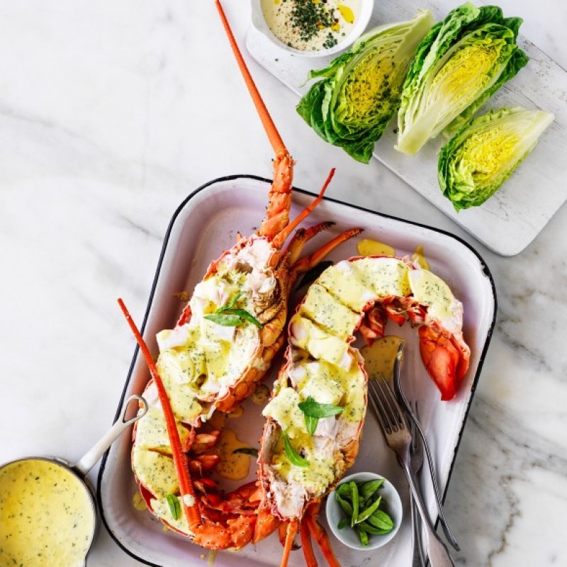 AUSTRALIA LOBSTER 