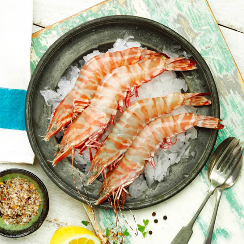 AUSTRALIA TIGER PRAWN 