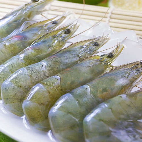 BLUE DIAMOND WHOLE PRAWN