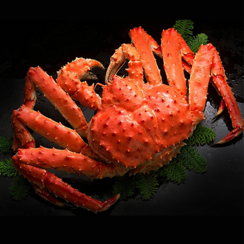 COOKED KING CRAB