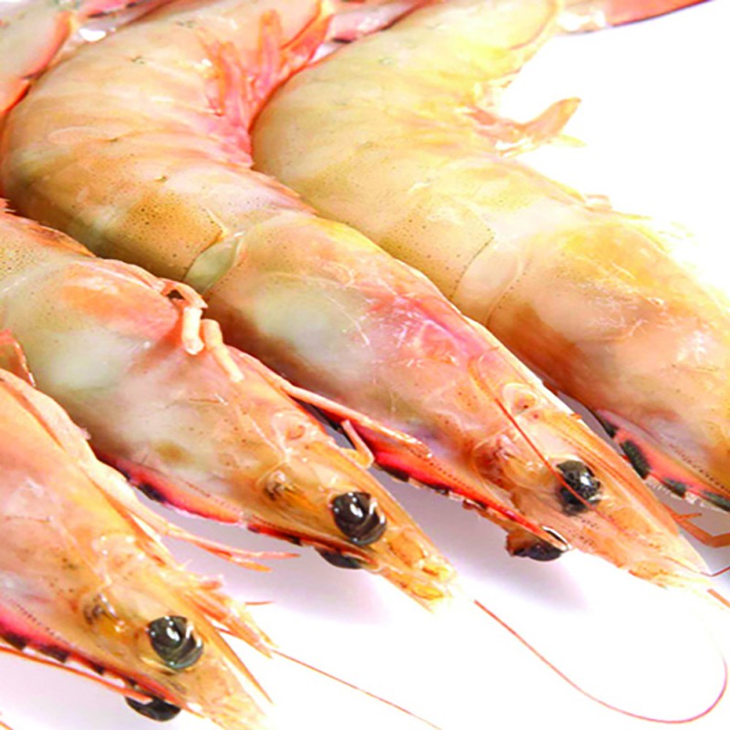 AUSTRALIA BANANA PRAWN 