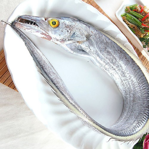 WHOLE RIBBON FISH / STEAK 