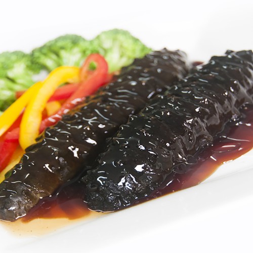 SEA CUCUMBER