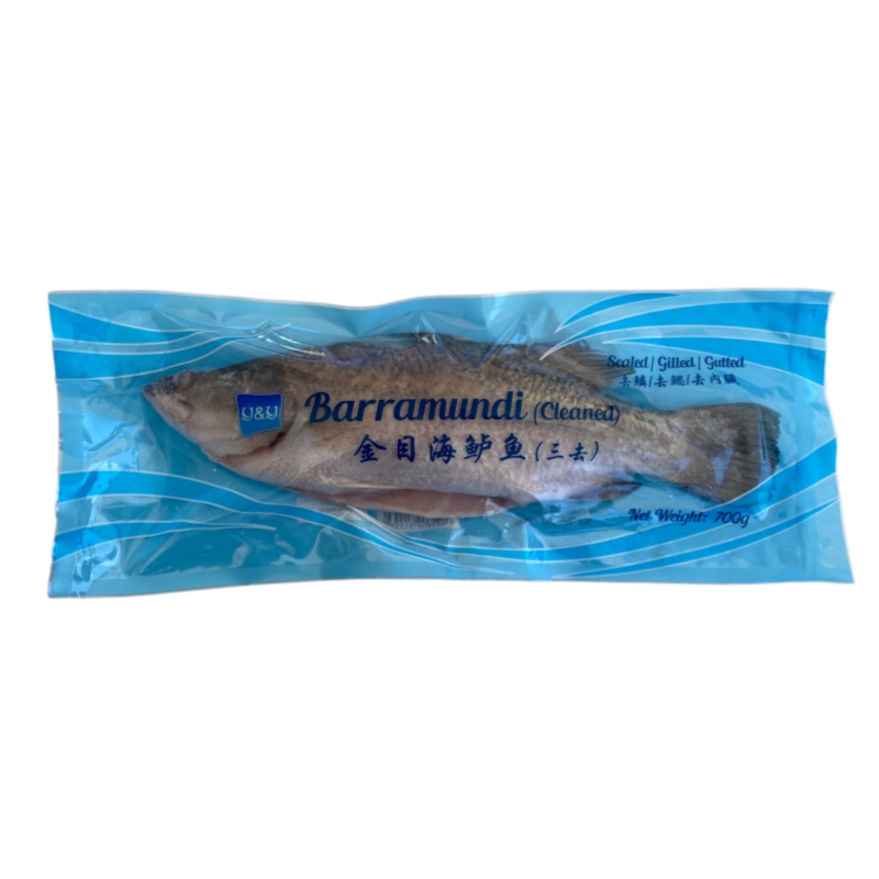 BARRAMUNDI