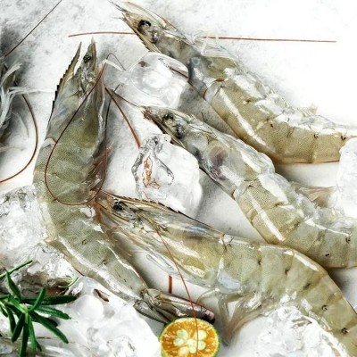 RAW WHOLE PRAWN RAW WHOLE PRAWN