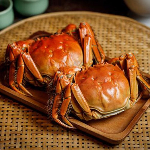 FROZEN COOKED CHINESE MITTEN CRAB (FEMALE) 